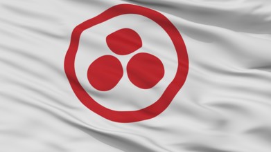 Roerich Flag, Closeup View