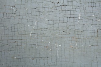 Closeup of old wood wall with white paint cracked for backgrounds