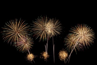 Real Fireworks display celebration, Colorful New Year Firework