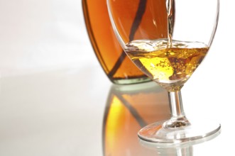 Brandy in cognac snifter