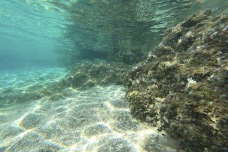 Photo of underwater rocks, sand and stones. The beautiful sandy and rocky bottom of the sea