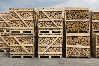 A large stack of firewood. Packed on pallets Austria