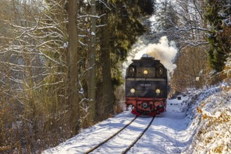 Selketalbahn the Selketal under steam Harz narrow-gauge railway