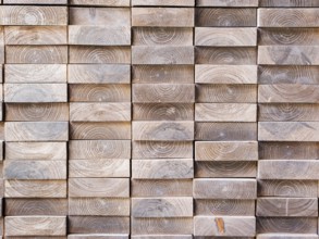 Board in profile with texture of tree rings for wall decoration