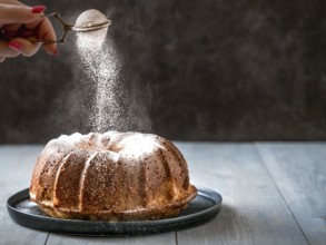 Woman's hand sprinkling icing sugar over fresh muffin cake. Powder sugar falls on fresh perfect