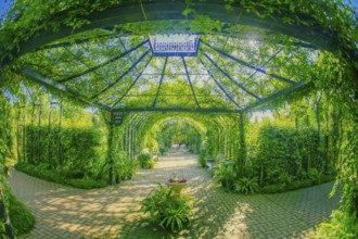Plant arch (green arch). Shooting Location: Nishi -ku, Yokohama