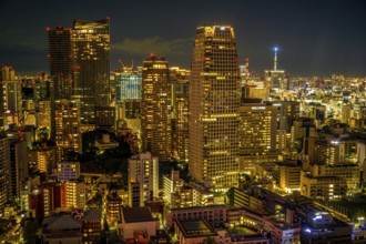 Tokyo night view as seen from Tokyo Tower. Shooting Location: Tokyo metropolitan area