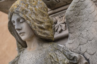 Angel, Roig family aedicule, Sineu, municipal cemetery, Majorca, Balearic Islands, Spain, Europe