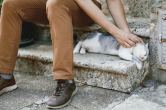 A man in brown trousers sits on the stone steps in the old town and strokes a lying gray cat,