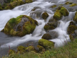 Gljúfurárfoss waterfall at Arnarfjörður in Iceland