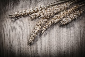 Composition of golden wheat rye ears on wooden board