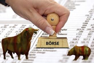 Bull and bear, symbolic figures of the stock market, Studio