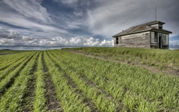 Abandoned Farm with storm clouds in the Canadian Prairie