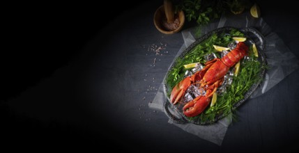 The cooked lobster on ice