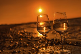 Wine on the baltic sea beach at sunset