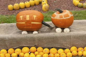 Pumpkins artistically decorated as a small train with orange and beige painting, borken,
