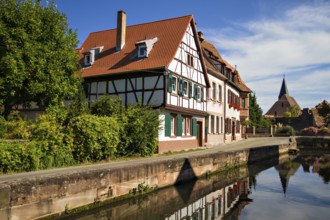 Half-timbered houses by a small river, Wissembourg, Alsace, France, Europe