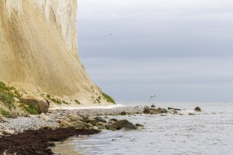 Pictures of the chalk cliffs on the island of Rügen