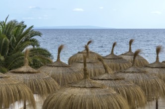 Sunshades by the sea