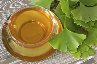 Cup of herbal tea with fresh ginkgo leaves on wooden background Cup of herbal tea with fresh ginkgo