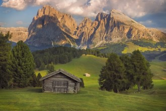 Seiser Alm with Langkofel group, South Tyrol, Dolomites, Italy, Europe