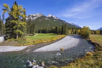 Autumn day in the Canadian Rockies. Dry creek in Banff National Park