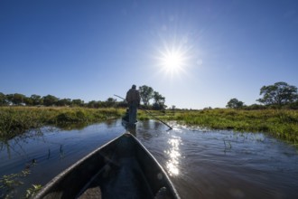 Mokoro, dugout canoe with staker in the Okavango Delta, Khwai Northwest District, Moremi Game