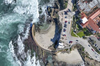 Aerial view of La Jolla cliffs and coastline, San Diego, California, USA, North America