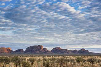Kata Tjuta, formerly The Olgas, panorama, partial view from south, Uluru-Kata Tjuta National Park,
