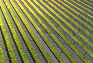 Solar panels on field in summer, aerial drone view