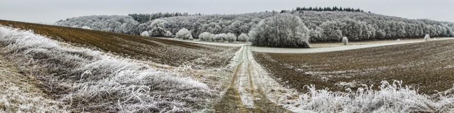 Beautiful panoramic shot of a landscape in winter in Central Hesse, Germany, Europe