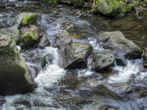 A stream with stones and flowing water. Experience the landscape in nature. Austria