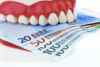 A dental model at the dentist with euro notes. Costs for health. Austria