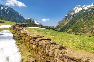 Cheerful landscape with a green meadow full of crocuses and spots of snow, in the Alps mountains