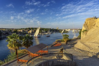 Beautiful landscape with felucca boats on Nile river in Aswan at sunset, Egypt, Africa