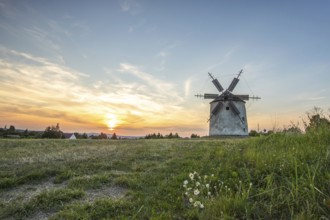 Windmill with wooden sails in a landscape with fields. Meadows and flowers appear in the sunset.