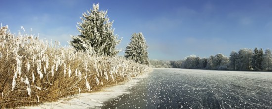 Winter landscape, Wannenberger Weiher