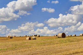 Straw bales at harvest time with blue sky and white clouds