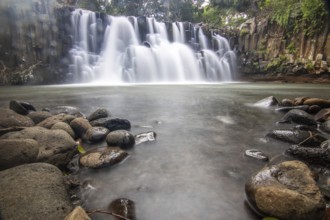 The waterfall is a 10 metre high waterfall that cascades over basal pillars into a basin. Tropical