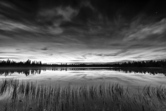 Evening mood at a forest lake, Norrbotten, Lapland, Sweden, August 2013, Europe