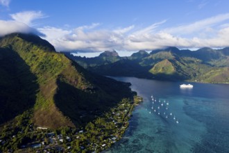 View of Opunohu Bay, Moorea, French Polynesia, Oceania