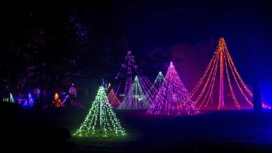 Wisley, Woking, Surrey, UK, November 19 : Christmas Glow 2022 at RHS Garden Wisley, Woking, Surrey,