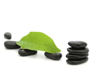 Relax theme with Zen stones and green herb over white background
