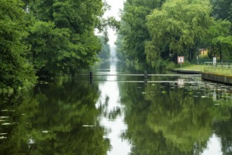 Travelling by kayak in the Lower Spreewald 3