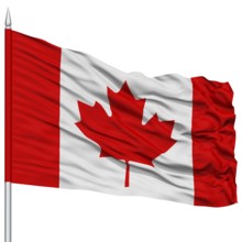 Canada Flag on Flagpole, Flying in the Wind, Isolated on White Background