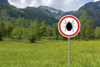 Tick insect warning sign on infected meadow. Lyme disease and meningitis transmitter