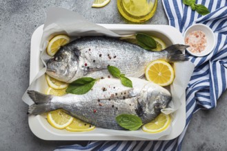 Raw fish dorado in casserole dish with ingredients lemon, fresh basil, bottle of olive oil on
