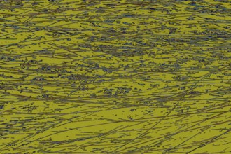 Decorative animal fur as a background texture