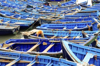 Essaouira, Morocco, North Africa, Africa, person working on blue fishing boats, ships in the