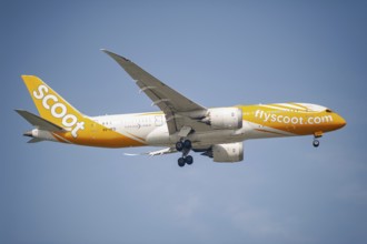 30.07.2023, Singapore, Republic of Singapore, Asia, A Scoot Airlines passenger aircraft of the type